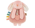 Itzy Ritzy Lovey Including Teether
